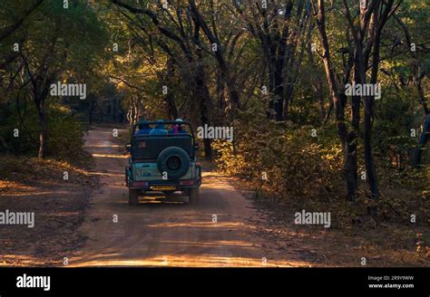 ranthambore in december